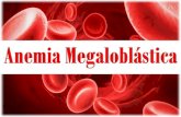 Anemia Megaloblástica - Hematologia