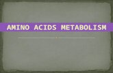 Amino Acids Metab