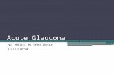 DT Glaukoma