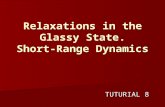 Relaxations in the Glassy State. Short-Range Dynamics TUTURIAL 8.