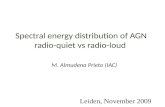 Spectral energy distribution of AGN radio-quiet vs radio-loud M. Almudena Prieto (IAC) Leiden, November 2009.