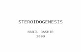 STEROIDOGENESIS NABIL BASHIR 2009. Adrenal Steroid Hormone Biosynthesis General Structural Features for the Steroid Hormones: 1.Intact four ring system.