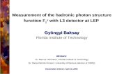 Dissertation Defense, 05/18/20051 Measurement of the hadronic photon structure function F 2 γ with L3 detector at LEP Gyöngyi Baksay Florida Institute.