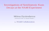 Investigations of Semileptonic Kaon Decays at the NA48 Еxperiment Milena Dyulendarova (University of Sofia “St. Kliment Ohridski”) for NA48 Collaboration.