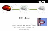 DCM demo André Bastos and Martin Dietz Wellcome Trust Centre for Neuroimaging.