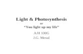 Light & Photosynthesis or â€œYou light up my lifeâ€‌ A/H 100G J.G. Mexal
