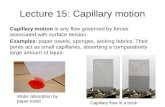 Lecture 15: Capillary motion Capillary motion is any flow governed by forces associated with surface tension. Examples: paper towels, sponges, wicking.