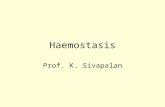 Haemostasis Prof. K. Sivapalan. June 2013Haemostasis2 Thrombocytes 2 – 4 μm in diameter. Half life – 4 days. 300,000 / μL. Break off from megakaryocytes.