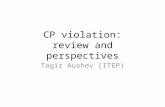 CP violation: review and perspectives Tagir Aushev (ITEP)
