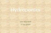 Hydroponics Lee Mandell 7/26/2009. Hydroponics [f. hydro (water) + Gr. πουος (work)] The process of growing plants without soil, in beds of sand, gravel,