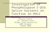 Investigation of Phospholipase C-β1b Splice Variants on Function in H9c2 Cells Chelsea Parker Dr. Theresa Filtz Oregon State University HHMI Program Summer.