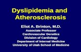 Dyslipidemia and Atherosclerosis Eliot A. Brinton, M.D. Associate Professor Cardiovascular Genetics Division of Cardiology Department of Internal Medicine.