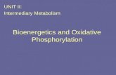 Bioenergetics and Oxidative Phosphorylation UNIT II: Intermediary Metabolism.
