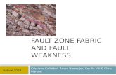 FAULT ZONE FABRIC AND FAULT WEAKNESS Cristiano Collettini, Andre Niemeijer, Cecilia Viti & Chris Marone Nature 2009.