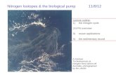 Nitrogen Isotopes & the biological pump11/8/12 Lecture outline: 1)the nitrogen cycle  15 N overview 3)ocean applications 4)the sedimentary record A.