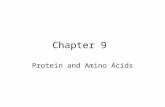Chapter 9 Protein and Amino Acids. Protein vary widely in chemical composition, physical property, size shape, solubility, biological function.