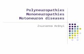 Polyneuropathies Mononeuropathies Motoneuron diseases Zsuzsanna Arányi