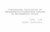 Transannular Cyclization of Dehydrobenzo[12]annulene Induced by Nucleophilic Attack Tobe Lab Ayumi Yoshizaki 1.