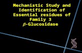 Mechanistic Study and Identification of Essential residues of Family 3  -Glucosidase.