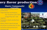 Heavy flavor production in Mario Campanelli/ Geneva Why studying heavy flavor production Experimental techniques: the Tevatron and CDF triggering and and.