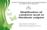 Free Powerpoint TemplatesPage 1Free Powerpoint Templates Modification of cytokinin level in Hordeum vulgare Centre of the Region Haná for Biotechnological.
