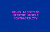 DRUGS AFFECTING UTERINE MUSCLE CONTRACTILITY. DRUGS PRODUCING UTERINE CONTRACTIONS( Oxytocic Drugs ) 1.OXYTOCIN 2.ERGOT ALKALOIDS Ergometrine (Ergonovine)