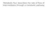 ‘Metabolic flux’ describes the rate of flow of intermediates through a metabolic pathway.