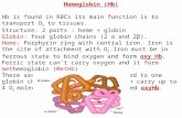 Hemoglobin (Hb) Hb is found in RBCs its main function is to transport O 2 to tissues. Structure: 2 parts : heme + globin Globin: four globin chains (2.