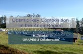 1 Cosmic Ray Composition in the Knee Region H. Tanaka GRAPES-3 Collaboration.