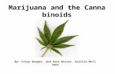 Marijuana and the Cannabinoids By: Coley Genger, and Sara Heizer, Kaitlin McClimon.