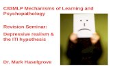 Revision Seminar: Depressive realism & the ITI hypothesis C83MLP Mechanisms of Learning and Psychopathology Dr. Mark Haselgrove.