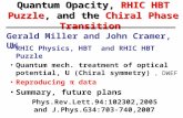 Quantum Opacity, RHIC HBT Puzzle, and the Chiral Phase Transition RHIC Physics, HBT and RHIC HBT Puzzle Quantum mech. treatment of optical potential, U.