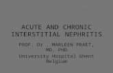ACUTE AND CHRONIC INTERSTITIAL NEPHRITIS PROF. Dr. MARLEEN PRAET, MD, PHD University Hospital Ghent Belgium.