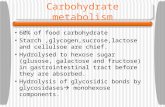 Carbohydrate metabolism 60% of food carbohydrate Starch,glycogen,sucrose,lactose and cellulsoe are chief. Hydrolysed to hexose sugar (glusose, galactose.