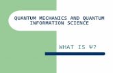 QUANTUM MECHANICS AND QUANTUM INFORMATION SCIENCE WHAT IS Ψ?