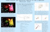 Young Stellar and Substellar Objects in the ρ Ophiuchi Molecular Cloud Bruce Wilking (University of Missouri-St. Louis) Marc Gagné (West Chester University)