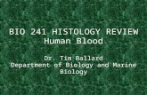 BIO 241 HISTOLOGY REVIEW Human Blood Dr. Tim Ballard Department of Biology and Marine Biology.