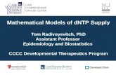 Mathematical Models of dNTP Supply Tom Radivoyevitch, PhD Assistant Professor Epidemiology and Biostatistics CCCC Developmental Therapeutics Program