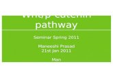 Wnt/β-catenin pathway Seminar Spring 2011 Maneeshi Prasad 21st Jan 2011 Man.