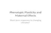 Phenotypic Plasticity and Maternal Effects Short-term responses to changing climates?