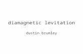 Diamagnetic levitation dustin brumley. what it is a look at diamagnetism a look at earnshaw’s theorem simple proof of earnshaw’s theorem physical picture.