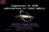 TeV Particle Astrophysics, Venice, August 29, 2007J. Siegal-Gaskins1 Signatures of ΛCDM substructure in tidal debris Jennifer Siegal-Gaskins in collaboration.