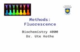 Methods: Fluorescence Biochemistry 4000 Dr. Ute Kothe