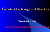 Bacterial Morphology and Structure Bacterial Morphology and Structure Xiao-Kui Guo PhD