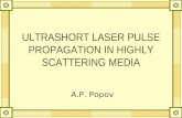 ULTRASHORT LASER PULSE PROPAGATION IN HIGHLY SCATTERING MEDIA A.P. Popov.