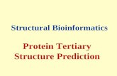 Protein Tertiary Structure Prediction Structural Bioinformatics