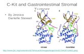 C-Kit and Gastrointestinal Stromal Tumors By Jessica Danielle Stewart .