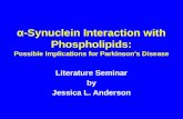 ‘-Synuclein Interaction with Phospholipids: Possible Implications for Parkinsonâ€™s Disease Literature Seminar by Jessica L. Anderson
