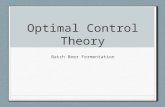 Optimal Control Theory Batch Beer Fermentation. General Case Min/max.