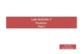 Lab Activity 7 Proteins Part I IUG, 2015 Dr. Tarek Zaida 1.